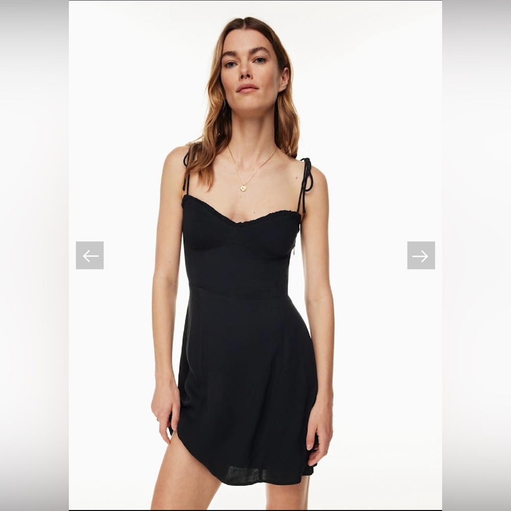 Aritzia Wilfred Fable Dress